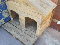 Dişili erkekli kulübesiyle birlikte köpekler
