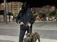 9 Aylık Cane Corso