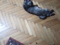 Kendime eş arıyorum acil