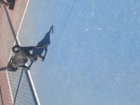 2 AYLIK CANE CORSO BLUE İÇ DIŞ PARAZİT YAPILI