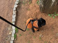 neşe kaynağımız çocuğumuz pug