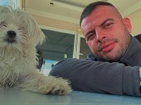Terrier maltese