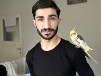 6 AYLIK SULTAN PAPAĞANI