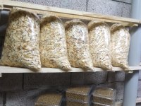 Bayrama özel hamster kampanya