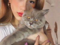 British kedi