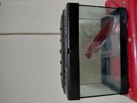 Akvaryum fanus betalık motor