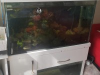 Acil satılık Akvaryum 100 cm iki katlı mobilyalı