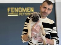 WC EĞİTİMLİ AŞILARI YAPILI PUG YAVRUMUZ ADI RIFKI ANK