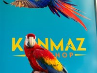 EĞİTİMLİ ARA MACAW PAPAĞANLARIMIZ GÖNDERİM MEVCUT