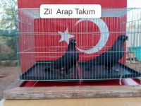 Zil Arap Takım