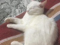 Minik kızımız için yuva arıyoruz