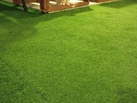 Pomeranian boo yavrularımız ırk garantili teslim
