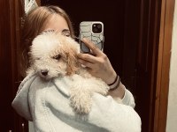 Acil sahiplendiriliyor poodle köpeğimiz