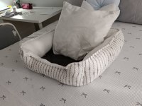 4 AYLIK TOY POODLE SAFKAN BAKIMLI AŞILARI TAM