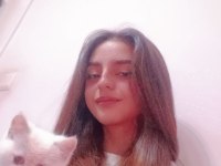 British longhair yavru kedimiz