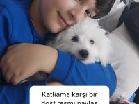 Dünya tatlısı oyun delisi 8 aylık erkek ücretlidir