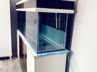 Acil satılık sıfır akvaryum