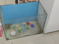 HAMSTER ÜRETİM CAM ALAN