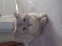 Çok tatlı bir o kadarda akıllı