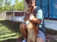 Ücretsiz Sahiplendiriyorum Köpeğimi