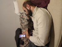 3 Aylık Safkan Belçika Malinois Yavru