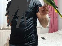50 günlük jumbo boy erkek alexander elden teslim