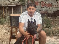 8 Aylık Kapkara Dişi Belçika Kurdu Değerinde