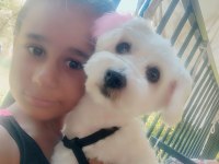 Eğitimli 1 yaşında köpeğimiz