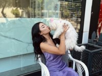 4 Aylık Maltipoo Dişi