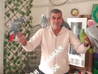 3 adet Jako 1 adet amazon ve gallah kakadu papağanı