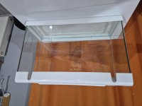 50 cm 2 aylık akvaryum kum ve salyangoz hediyeli