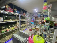 ELE ALIŞIK HAMSTER ANTALYA HAMSTER ÇİFTLİĞİ