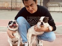 Pablo & Leydi Eş French Bulldog