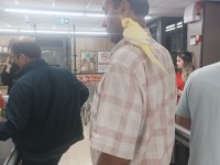 Lutino Kırmız Göz Sultan Papağanı
