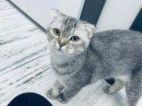 5 Aylık erken sahiplendirmek istiyoruz