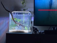 35*35*35 nano akvaryum ultra clear cam özel