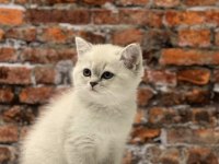 TÜRKİYENİN HER YERİNE SORUNSUZ GÖNDERİM SAĞLIYORUZ