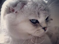 Çok sakin ve seveceb 1 Kez doğum yaptı