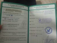 Eşimin hastalığından dolayı acil siyam kedisi