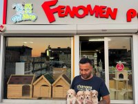 shoooowwww kalite maltipoo yavrular ankara mağazamızda