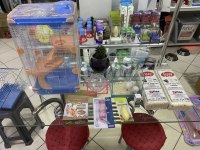 ANTALYA ADRESE TESLİM HAMSTER KUŞ BALIK BETTA