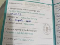 1 yaşında aşıları tam british oyuncu ve uysal yapılıdır