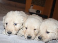 Baby Face 3x Yavrumuz Var Bakımlı