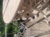 Köpeğimiz Güneş İçin Yuva Arıyoruz