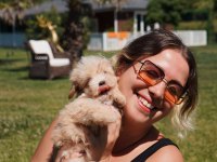 Tea Cup Maltipoo Yavrulari Istanbul 