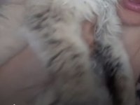 4 Yaşında Yeni Yuvalarını Arıyor Kedilerimiz