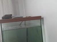 Profesyonel yapım akvaryum