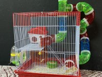 HAMSTER VE TÜM İHTİYAÇLARI İÇİN BURADAYIZ