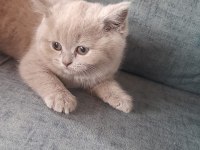 AKILLI KİZLARİM