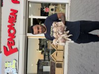 Türkiye’nin en güzel Maltipoo yavruları Ankara mağaza